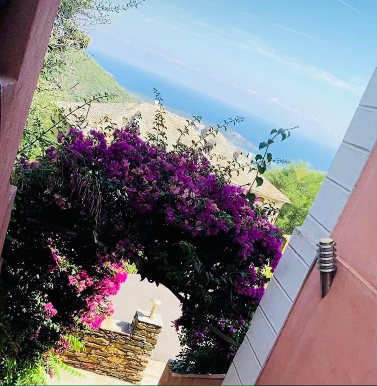 U Sant'Agnellu Otel Rogliano Dış mekan fotoğraf