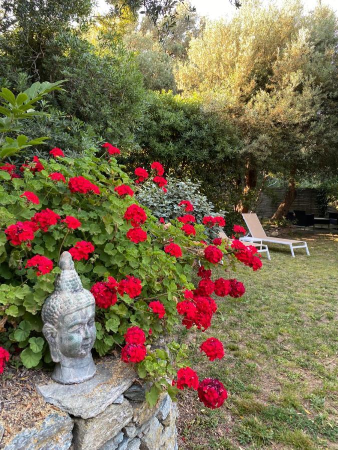 U Sant'Agnellu Otel Rogliano Dış mekan fotoğraf